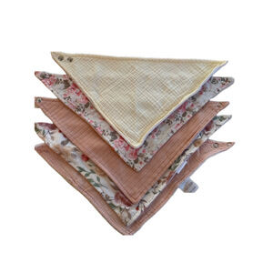 Baby Girl Ava Olivia Bibs One Size Pink & White set of 5